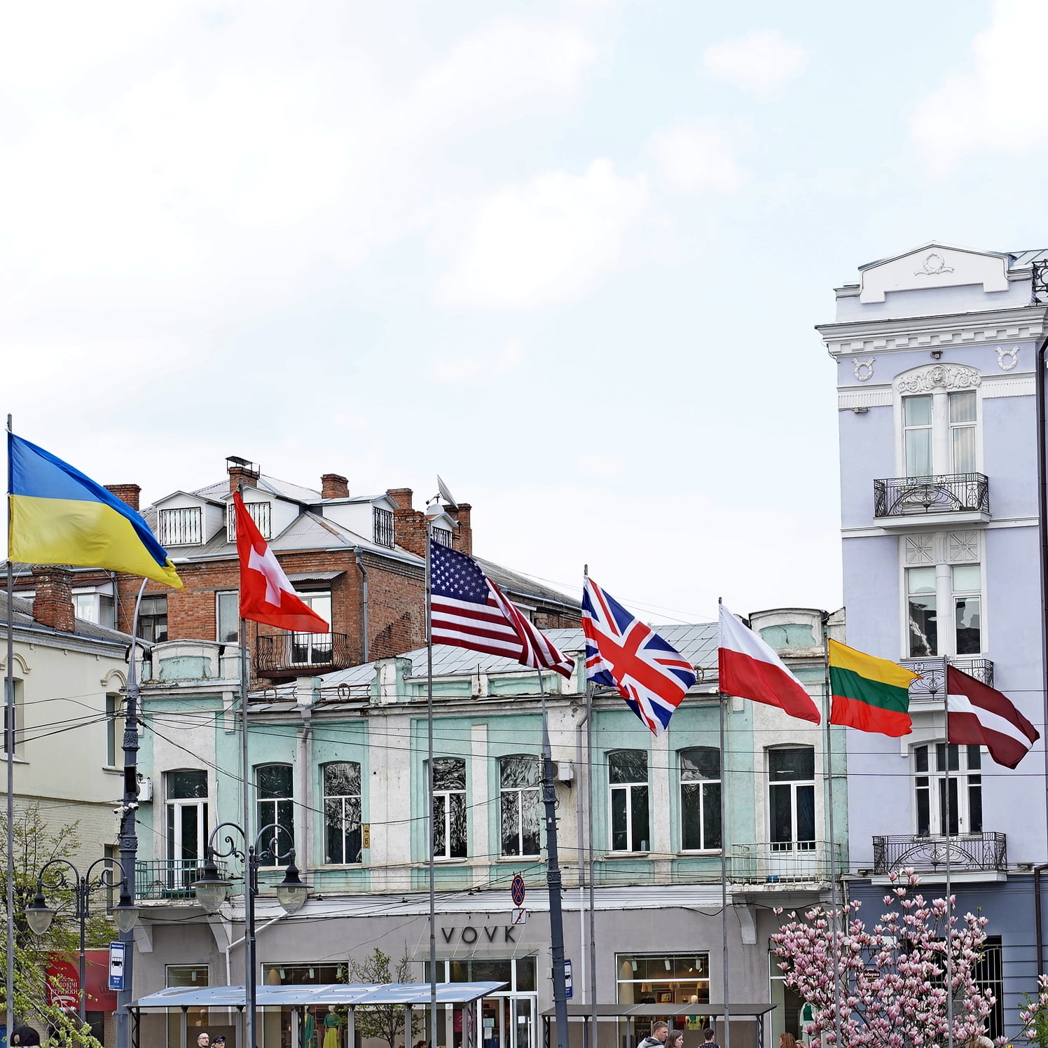 Flags of States Helping Ukraine Were Raised in Vinnytsia as a Token of Gratitude